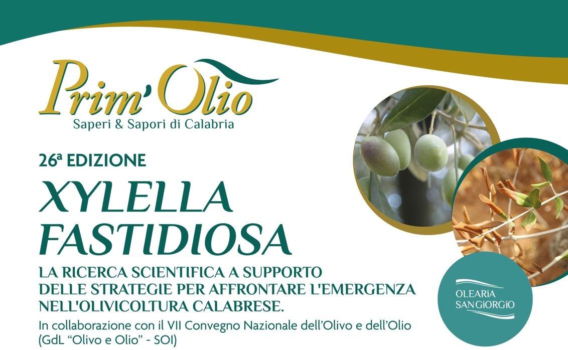 26^Edizione Prim’Olio